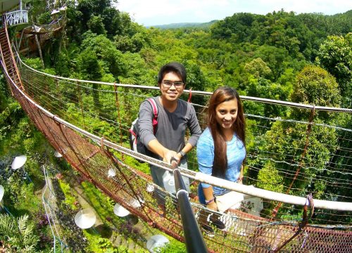 Real Hanging Bridge